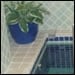 Mikvah: The Art of Transition