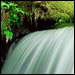 Purifying Waters